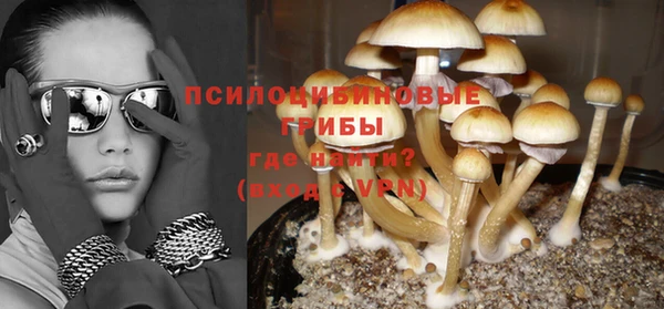 mdpv Осинники